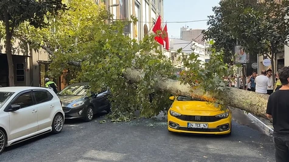 Şişli’de Asırlık Çınar Ağacı Yola Devrildi