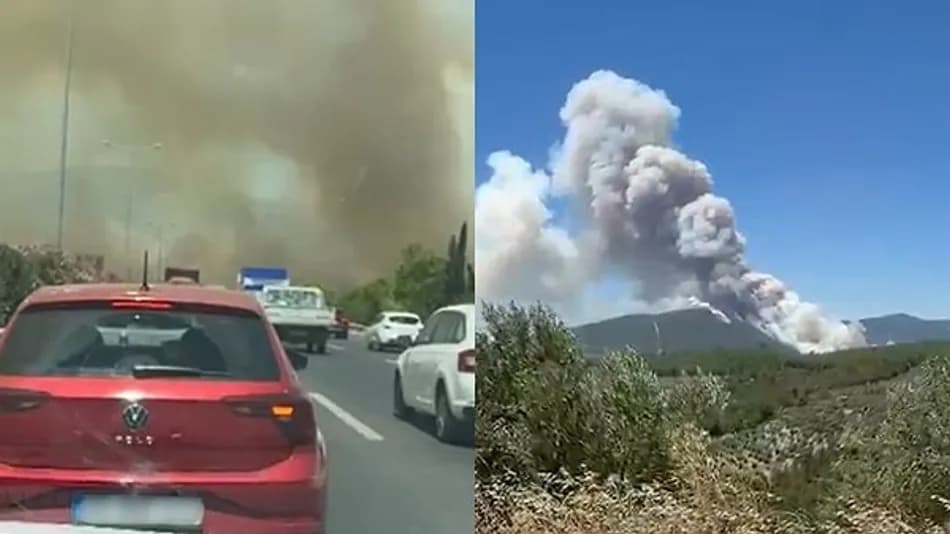 Manisa Akhisar’da orman yangını otoyola ulaştı