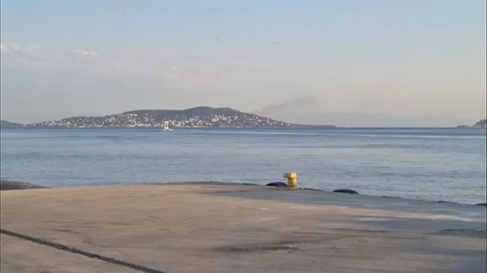 Büyükada’da plajda başlayan yangın ormana sıçradı