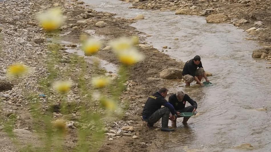 Aydın'da vatandaşlar dere yatağında altın arıyor