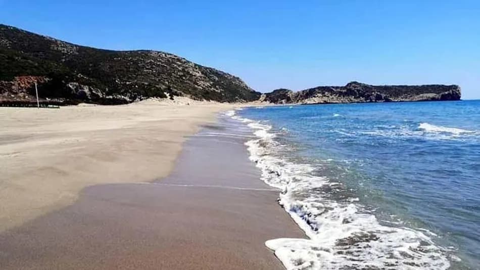 Deniz kaplumbağalarının yuvalama alanlarında gece yasağı başladı