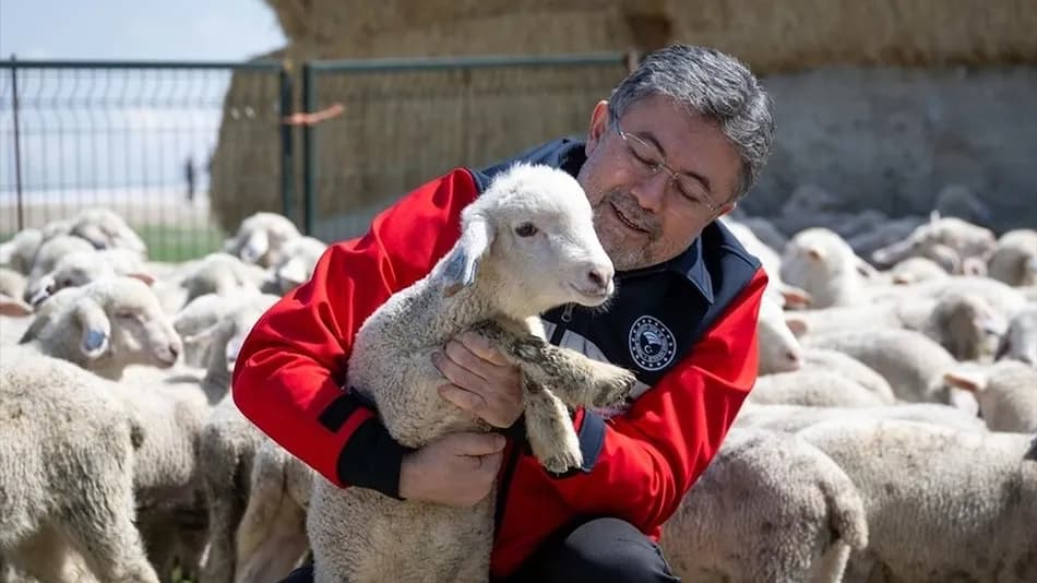 Küçükbaşa destek projesinde başvurular başladı
