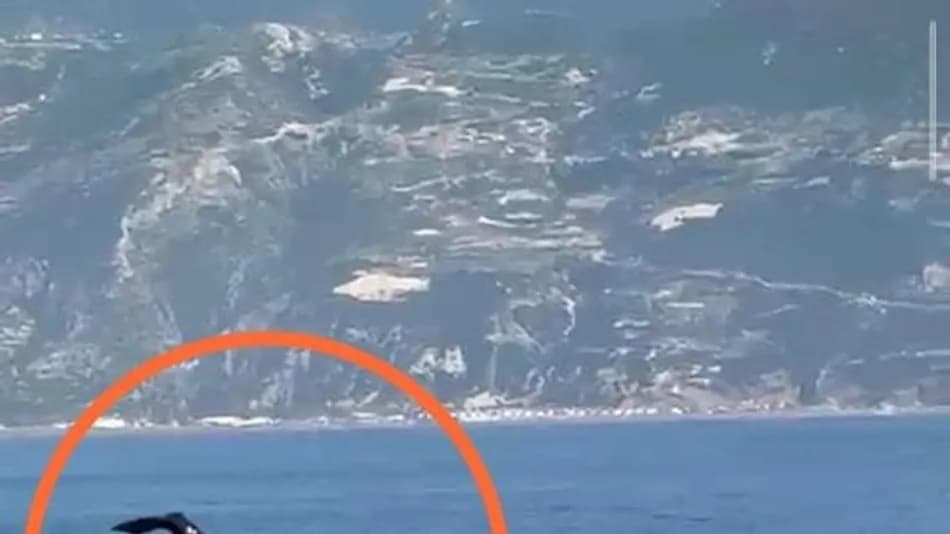 Hatay Samandağ Açıklarında Balina Görüntülendi