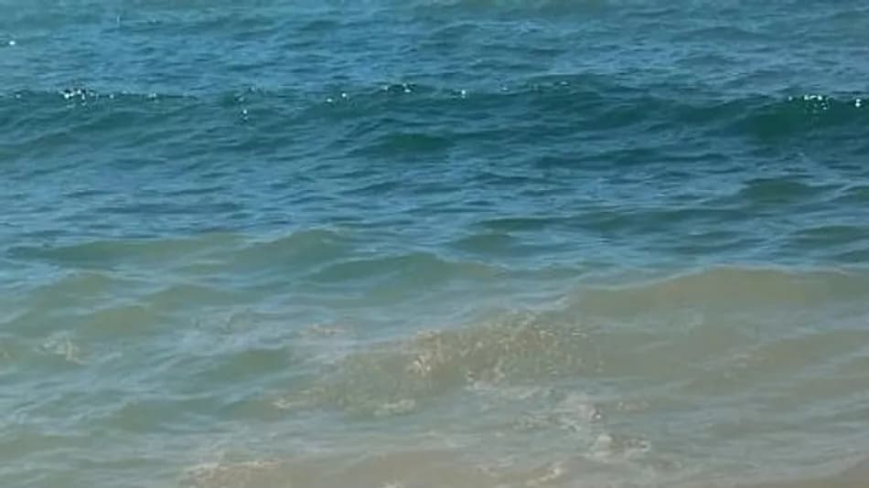 Bodrum’da deniz kirliliği soruşturması başlatıldı