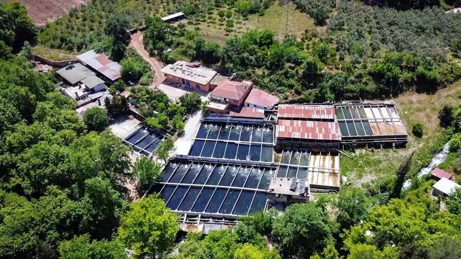 Fevzi Taş’ın Kemer’de kurduğu alabalık tesisi 80 tona ulaştı