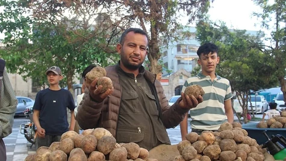 Şanlıurfa’da keme mantarı haziranda da tezgahlarda