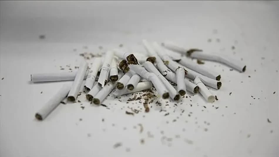 Sigarada yeni düzenleme: Bakan Memişoğlu taslağı açıkladı