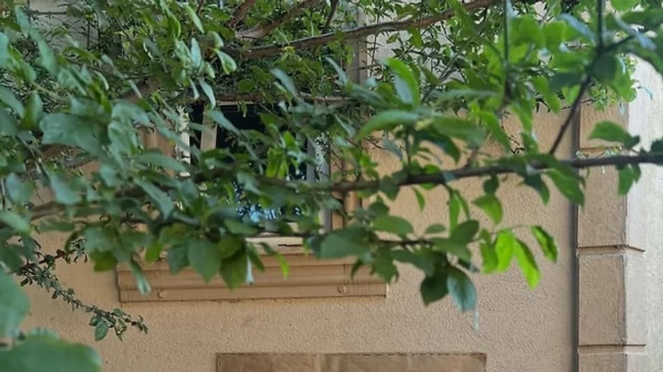 Eren Kaşıkçı’nın Kızı Maya ile Son Paylaşımı Gündem Oldu