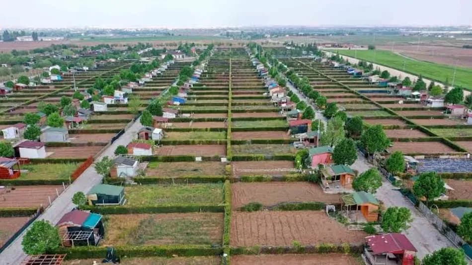 Hobi bahçeleriyle ilgili tartışmaların ardından satış ilanlarında artış iddiası