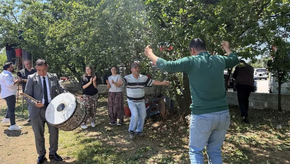 İznik'te erik hasadı başladı, rekolte geçen yıla göre 4 kat arttı