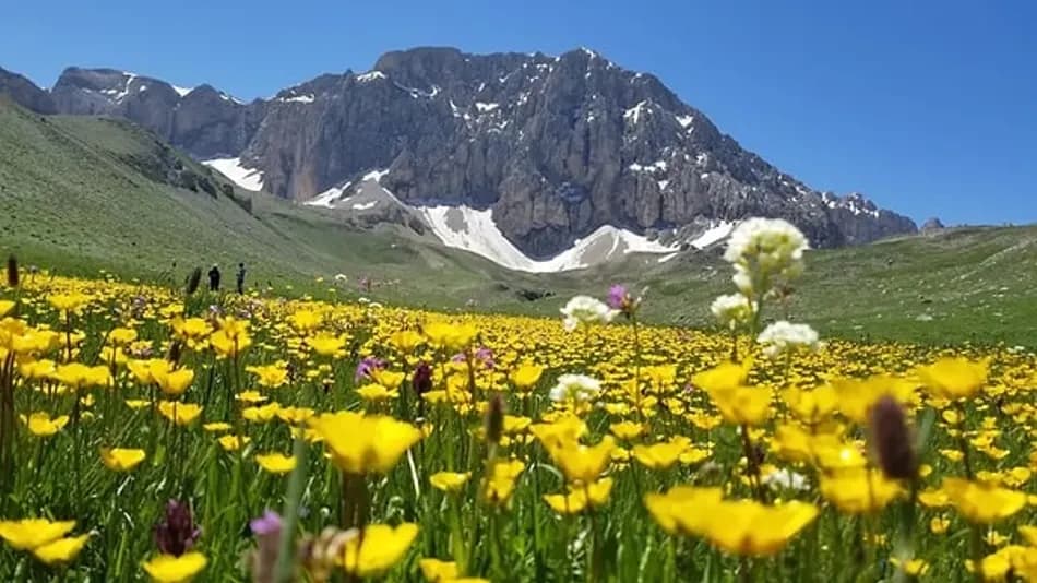 Merg Yaylası doğaseverlerin yeni rotası oldu