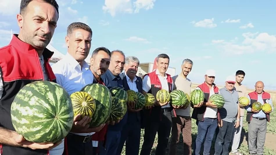 Ağrı’da Doğan Kaya 40 Dekarda Kavun ve Karpuz Yetiştiriyor