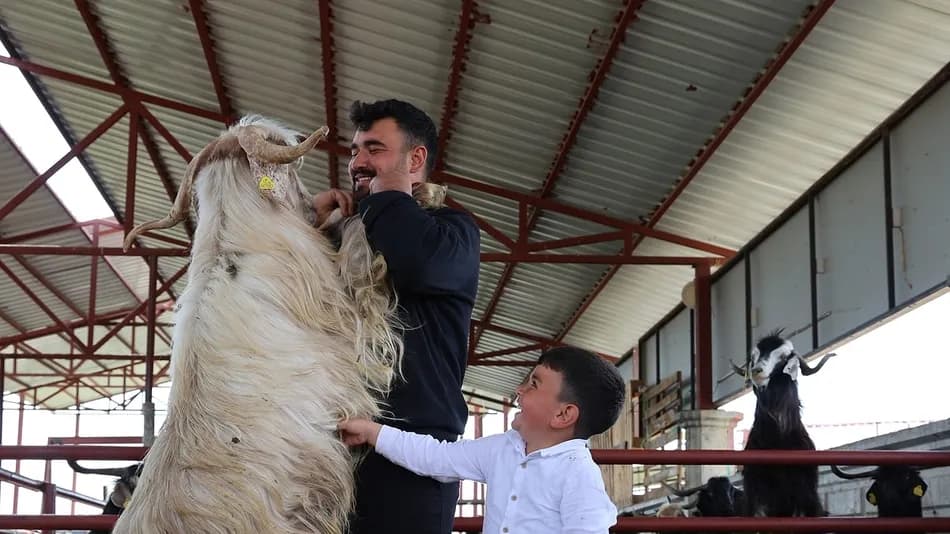 Elazığ'da 140 kiloluk keçi kurban pazarında ilgi gördü