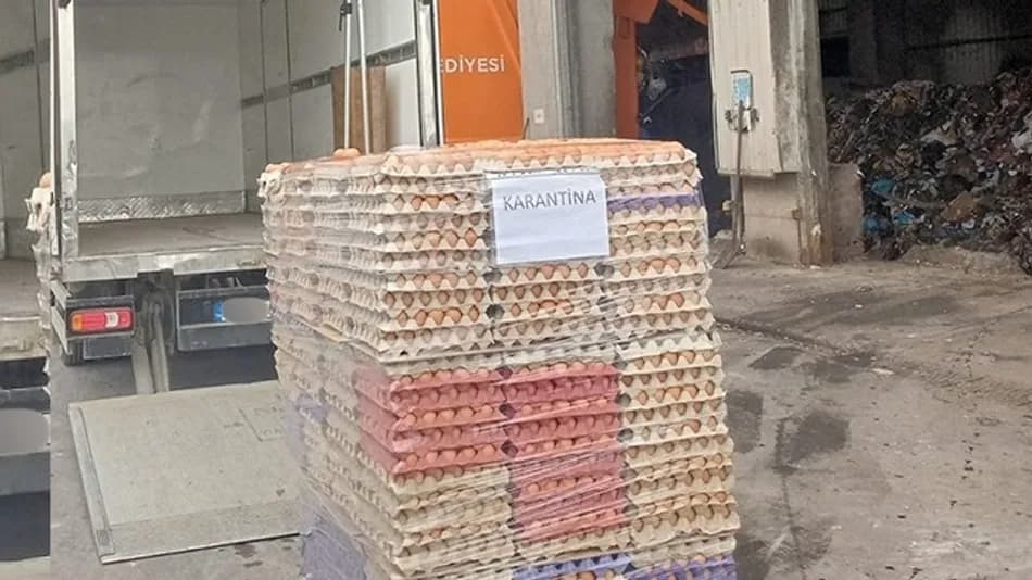 Sakarya'da Sahte Organik Etiketli 42 Bin Yumurta İmha Edildi