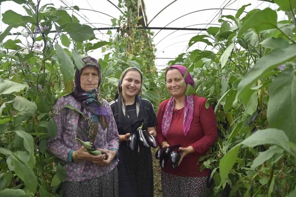 Antalya'da Üç Kuşak Kadın Aynı Serada Üretim Yapıyor