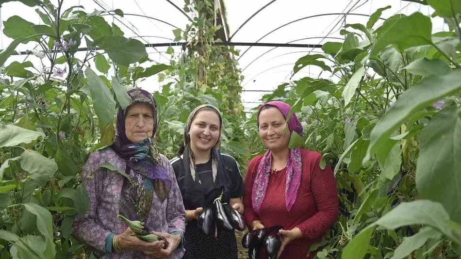 Antalya'da Üç Kuşak Kadın Aynı Serada Üretim Yapıyor