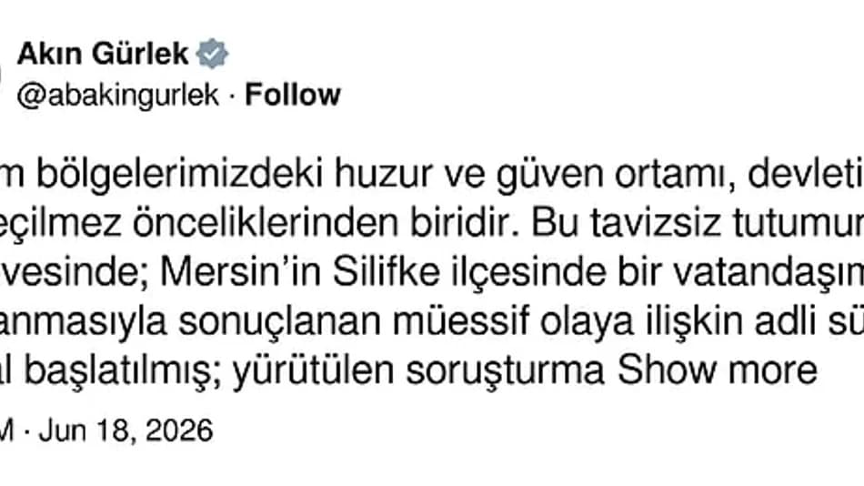 Silifke’de Denizde Sopalı Saldırı: 3 Şüpheli Tutuklandı