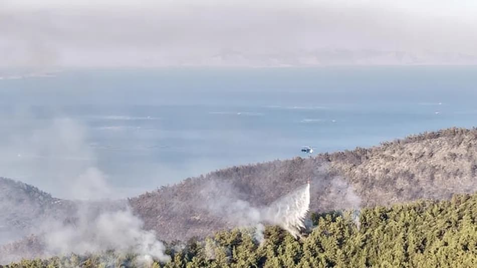 Muğla Milas’ta Orman Yangını: 1120 Kişi Tahliye Edildi