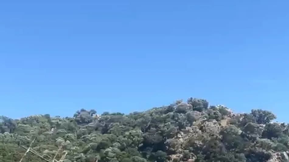 Marmaris'te 110 yolcunun bulunduğu tur teknesi battı