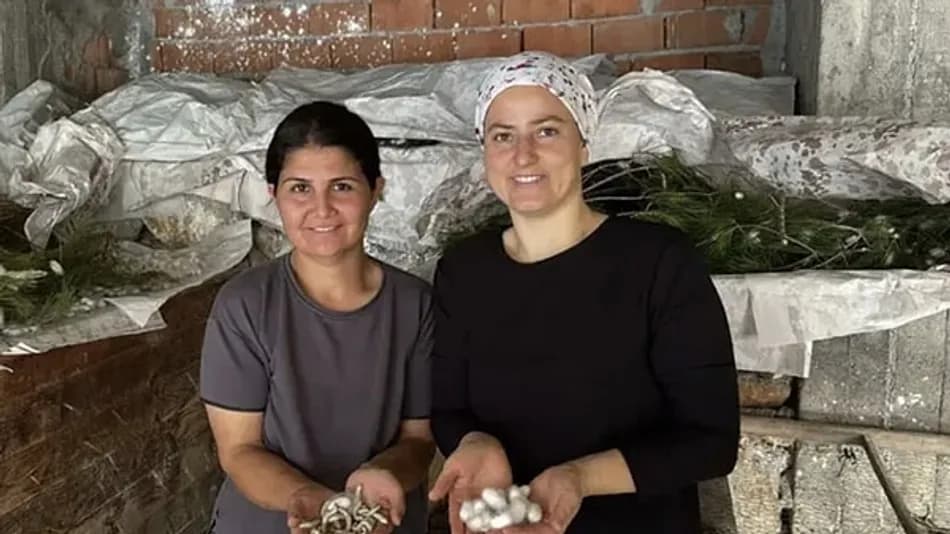 Köyceğiz’de İpek Böcekçiliğiyle 1 Paketten 80 Bin Lira Gelir