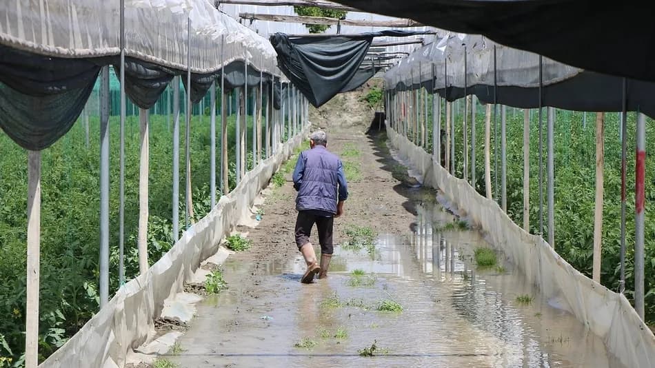 Amasya'da taşkın nedeniyle binlerce dekar tarım arazisi sular altında kaldı
