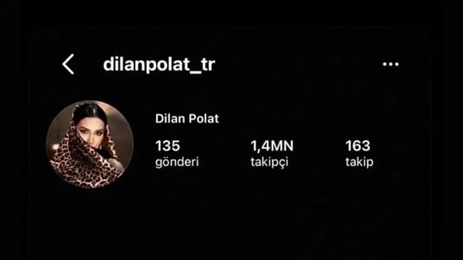 Dilan Polat’ın sosyal medya hesaplarına erişim engeli
