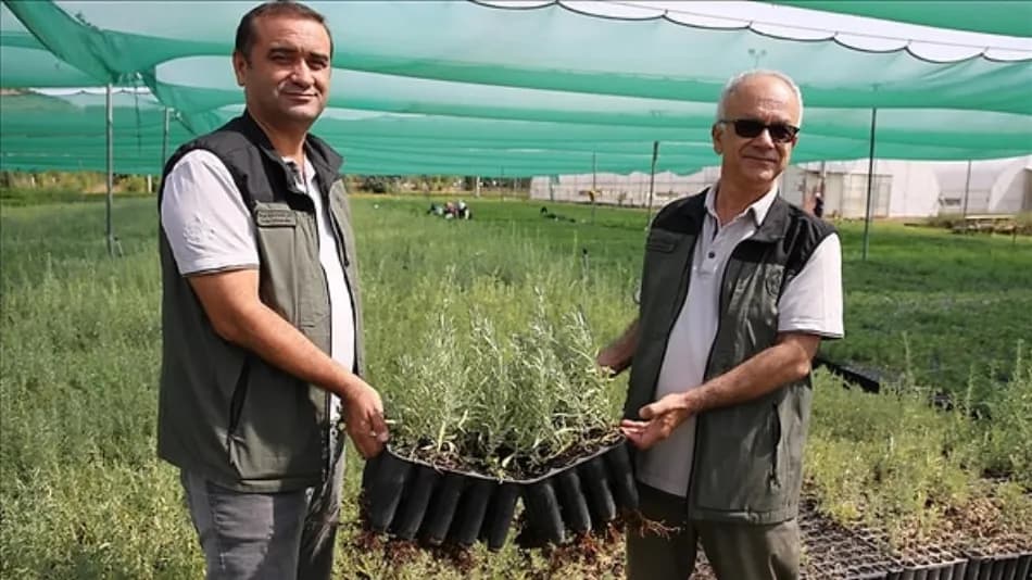 Türkiye’de kuraklığa karşı 1 milyon tuz çalısı dikildi