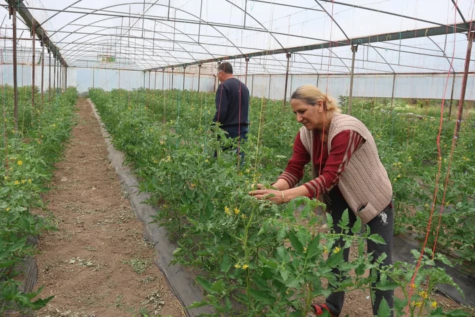 Iğdır’da köye dönen çift, 150 dönümlük arazide 30 aileye istihdam sağlıyor