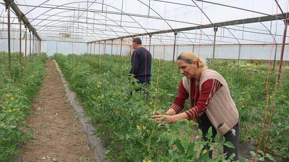 Iğdır’da köye dönen çift, 150 dönümlük arazide 30 aileye istihdam sağlıyor