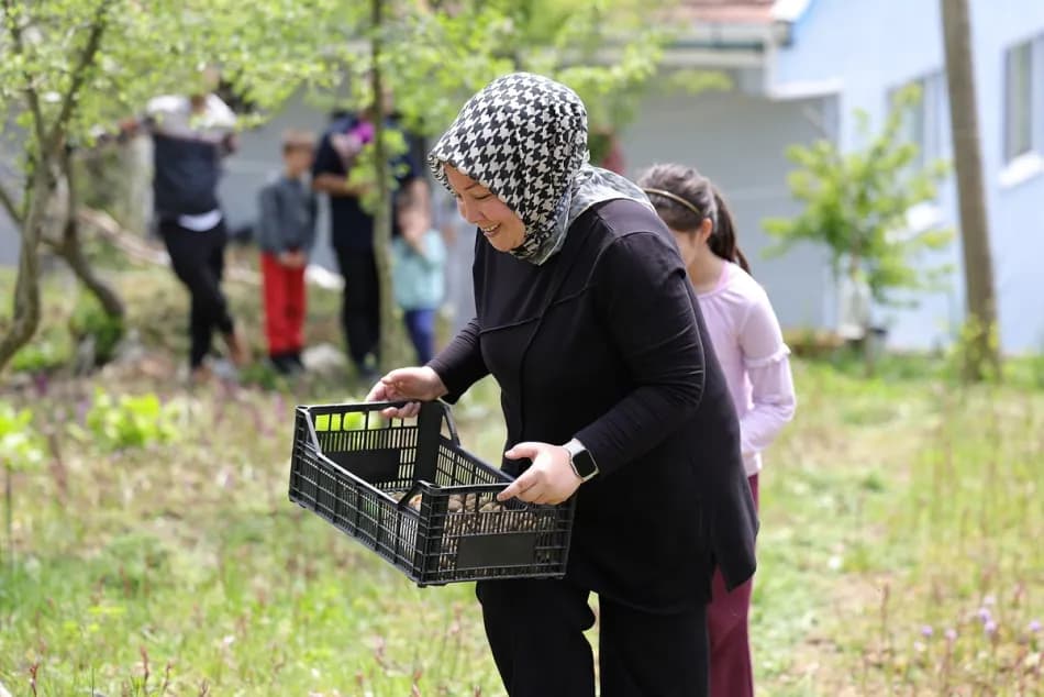 Zonguldak'ta salep orkidesi üreten kadın girişimci ilk hasatta 600 kilo ürün aldı