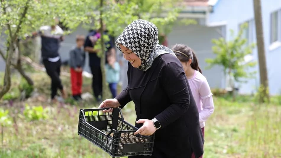 Zonguldak'ta salep orkidesi üreten kadın girişimci ilk hasatta 600 kilo ürün aldı