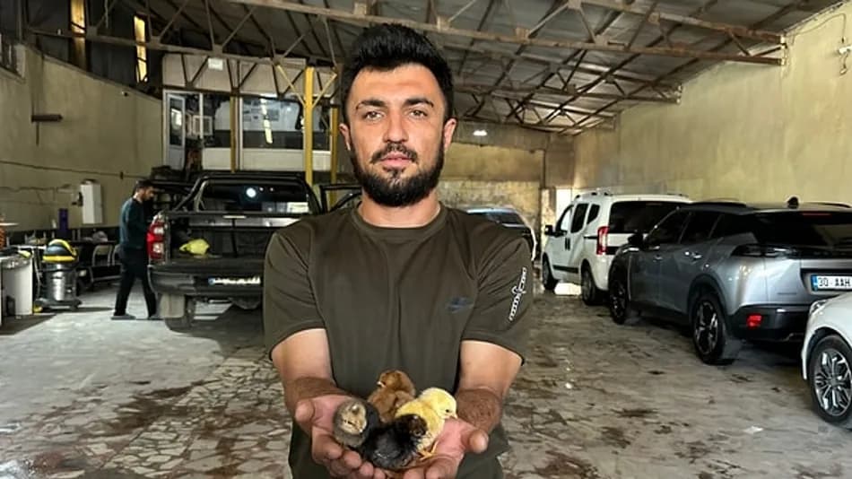 Yüksekova’da Belgeselden Esinlenip Kuluçka Makinesi Yaptı