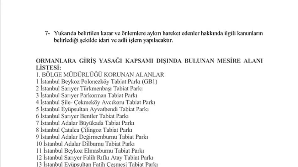 İstanbul’da Ormanlara Giriş 15 Ekim’e Kadar Yasaklandı