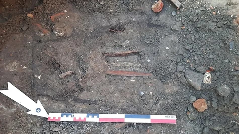 Gent'te Ağaç Kazısında 20 Kişiye Ait İskelet Bulundu