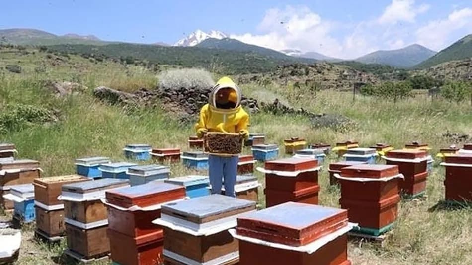 Kayserili üniversite öğrencisi köyüne dönüp arıcılığa başladı