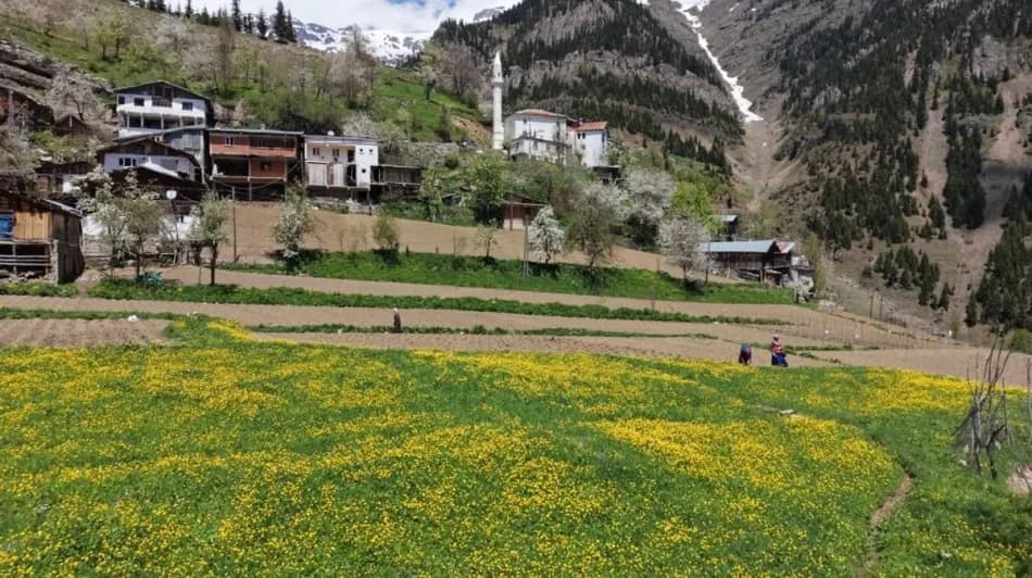 Artvin'de 1400 Rakımda İmece Usulüyle Üretilen Ürünlere Türkiye Genelinden Talep