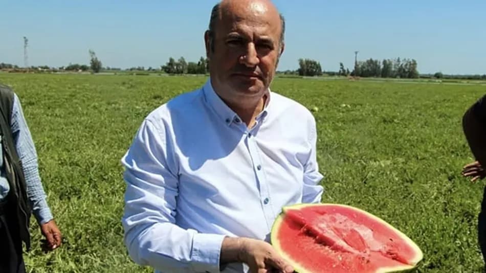 Adana karpuzunda hasat yoğunlaştı: Dilim satışları arttı