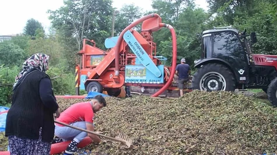 Ordu’da patozcuların saatlik ücreti 6 bin TL’ye çıktı