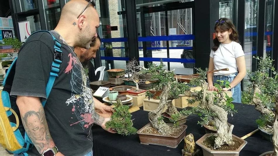 Kocaeli'deki bonsai sergisinde bazı eserlerin değeri 1 milyon liraya ulaşıyor