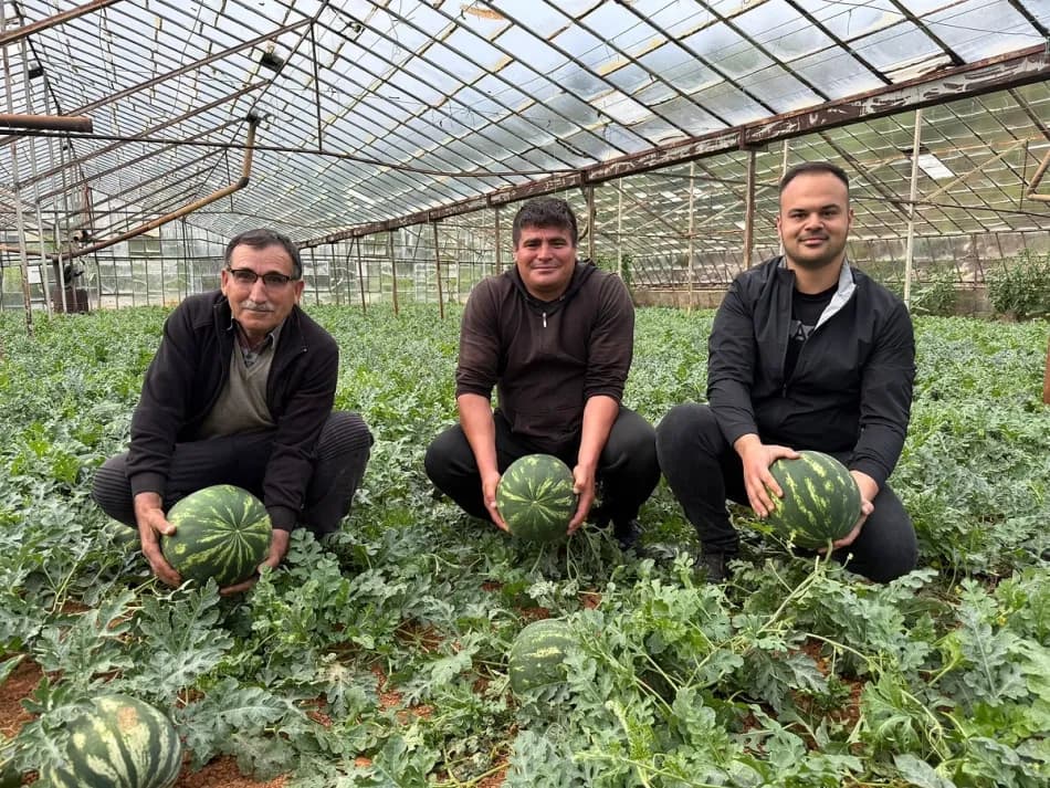 Antalya Serik’te sera karpuzunda erken hasat başlıyor