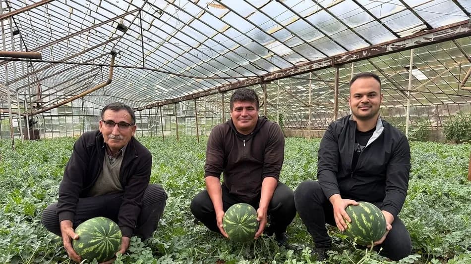 Antalya Serik’te sera karpuzunda erken hasat başlıyor