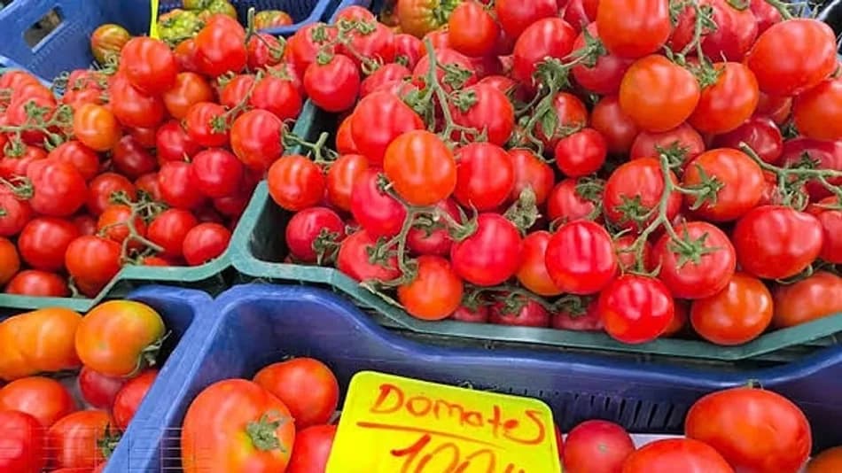 Greenpeace: İstanbul’da Market Domateslerinde Pestisit Çıktı