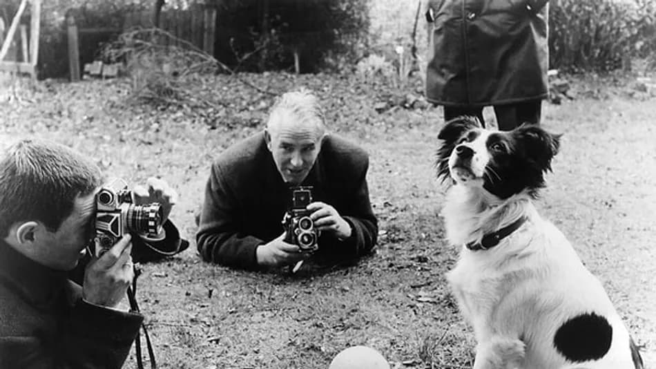1966 Dünya Kupası’nı Bulan Köpek Pickles’ın Hikâyesi