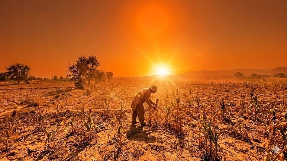 WMO raporu: Bazı bölgelerde yılın 250 günü dışarıda çalışmak mümkün olmayabilir